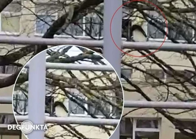 "Почему никто не следит за детьми во время уроков?" В Иманте школьник забрался на подоконник третьего этажа