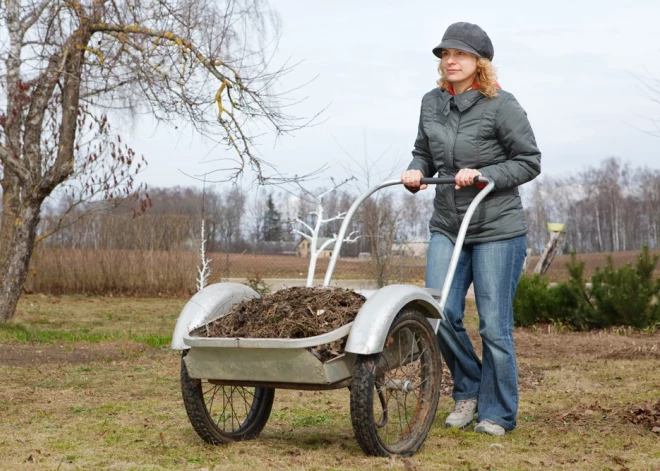 Kāda ir laba ķerra? Padomi un ieteikumi dārza darbiem
