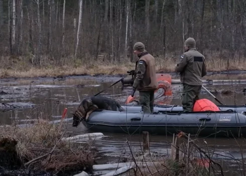 Īpaši apmācītais suns cenšas atrast pazudušo amerikāņu karavīru (ekrānuzņēmums no video)
