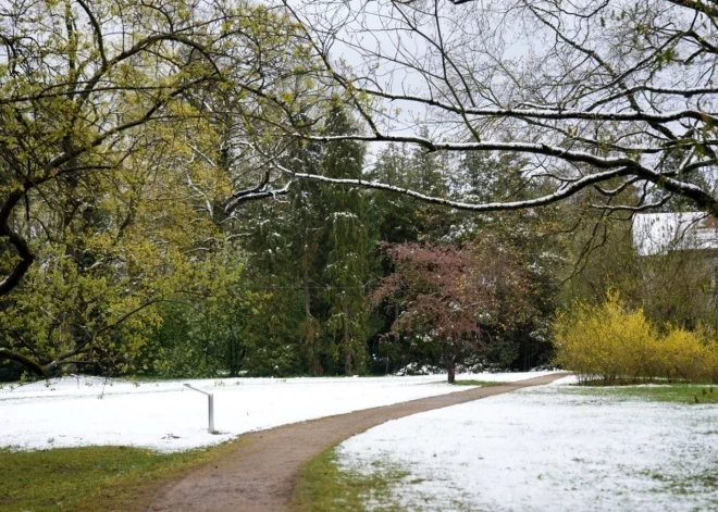 Уже скоро в Латвии возможна интенсивная метель, часть страны накроет густым слоем снега