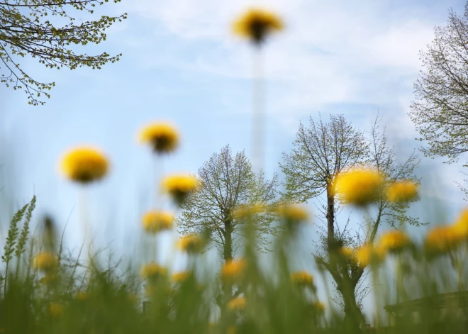 Zemgalē šodien gaiss varētu iesilt pat līdz 18 grādiem