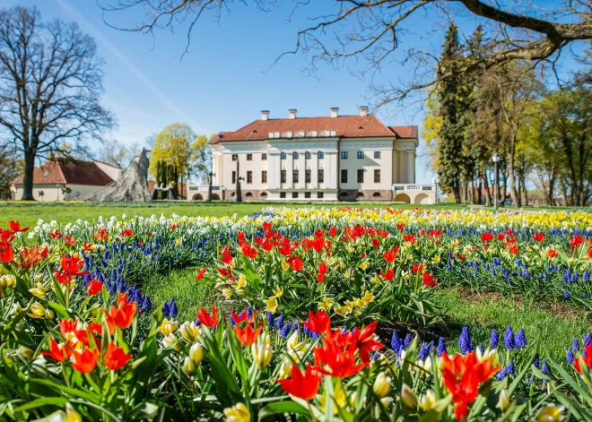 Drīzumā Pakrojas muižā sāksies krāšņais pavasara tulpju un ziedu festivāls
