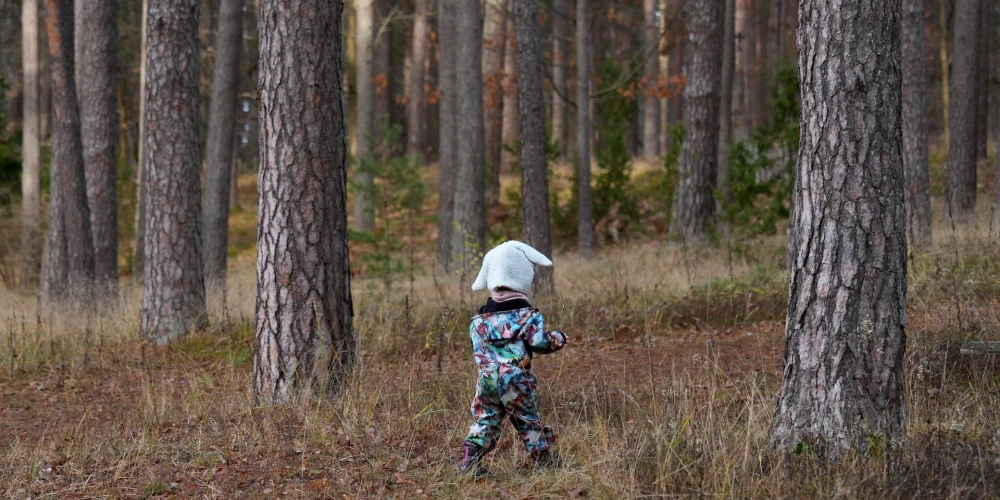 Centrs secinājis, ka 2024.gadā 79% gadījumu atkārtotas bērna aizgādības tiesību pārtraukšanas galvenais iemesls bija vecāku atkarību izraisošu vielu lietošana, kā rezultātā bērni piedzīvoja gan pamešanu novārtā, gan fizisku, emocionālu vai seksuālu vardarbību.
