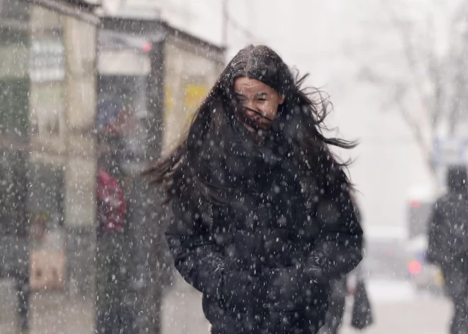 В субботу в Латвии - метель и сильный ветер, местами выпадет до 5 см снега