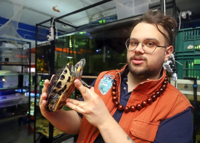 Ūdensdzīvnieku otrā iespēja. Pasaulē pirmā mājdzīvnieku saudzētava tapusi tepat Čiekurkalnā