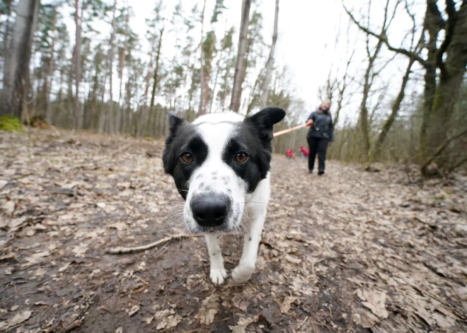 В понедельник ожидается кратковременный снег и дождь