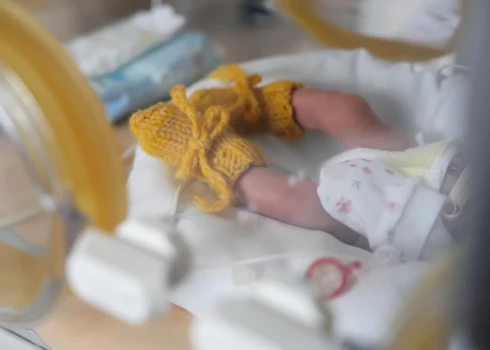 Arī otro trīnīšu ģimenei Rīgas dome plāno piešķirt 7500 eiro pabalstu.