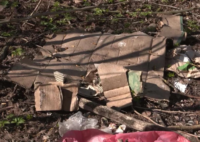 Перед окнами - свалка: жители Пурвциемса возмущены бездействием владельца земли