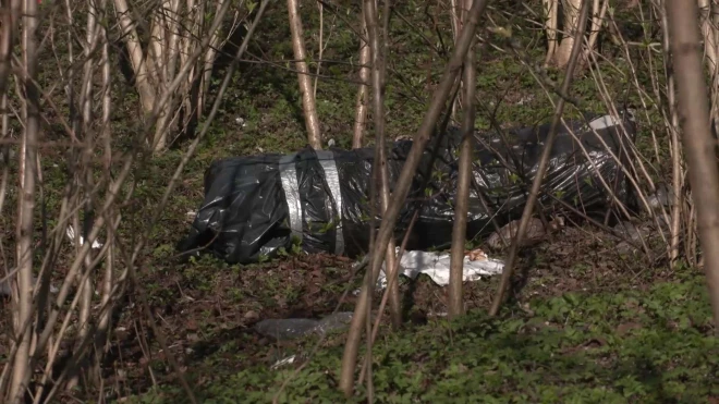 Жители Пурвциемса требуют очистить участок: владелец игнорирует требования.