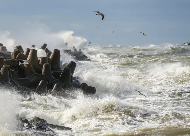 Latvija, Lietuva un Vācija vienojas par jaunu elektrības starpsavienojumu Baltijas jūrā