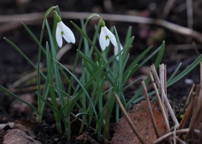 Четверг станет самым холодным днем недели