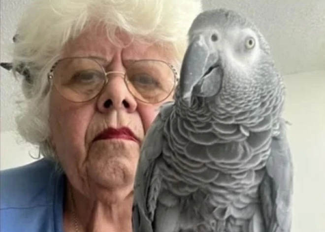 “Jūtos pamesta!” amerikāņu pensionāri neielaiž lidmašīnā kopā ar viņas papagaili - viņi abi iestrēgst Puertoriko
