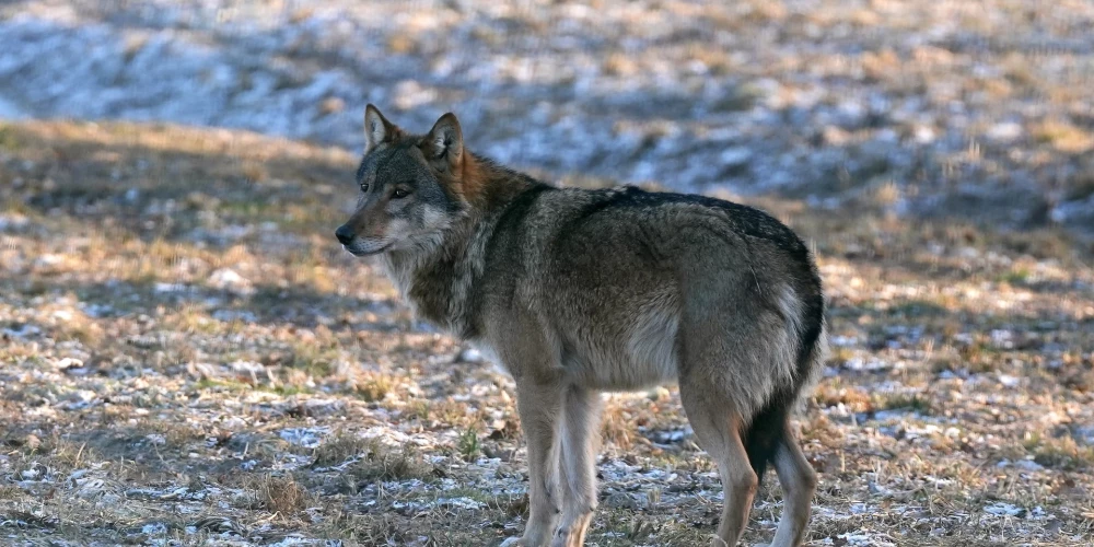 Иллюстративное фото.