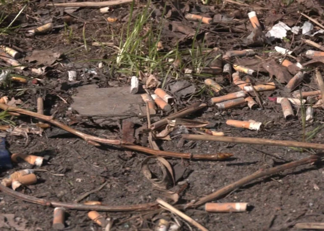 Жители Юрмалы возмущены: берег Лиелупе завален мусором и шприцами