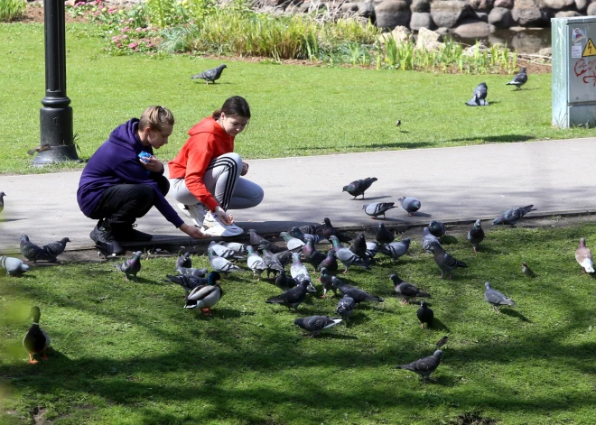 Gaiss iesils līdz +20 grādiem! Zināms, kad beidzot kļūs siltāks