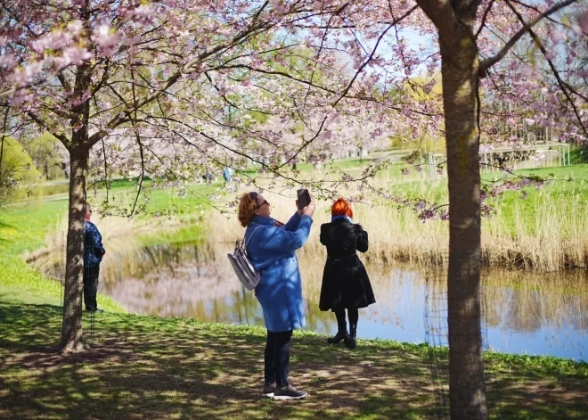 На следующей неделе температура может подняться до +25 градусов, а ночи будут нетипично теплыми для весны