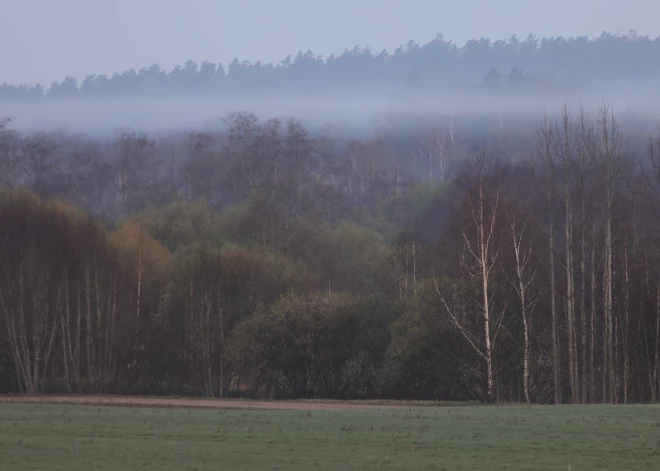 Утром страну накрыл густой туман, но день ожидается теплый