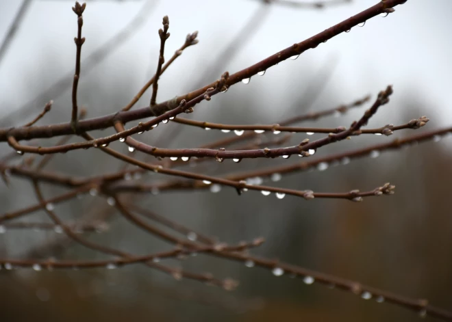 Pirmdien kļūs vēl siltāks un brīžiem uzlīs