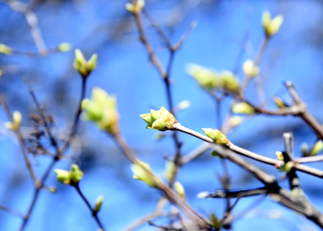 В понедельник ожидается кратковременный дождь