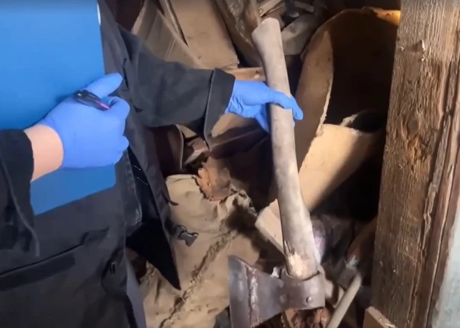 В России мать зарубила топором троих своих детей - младшему не было и года