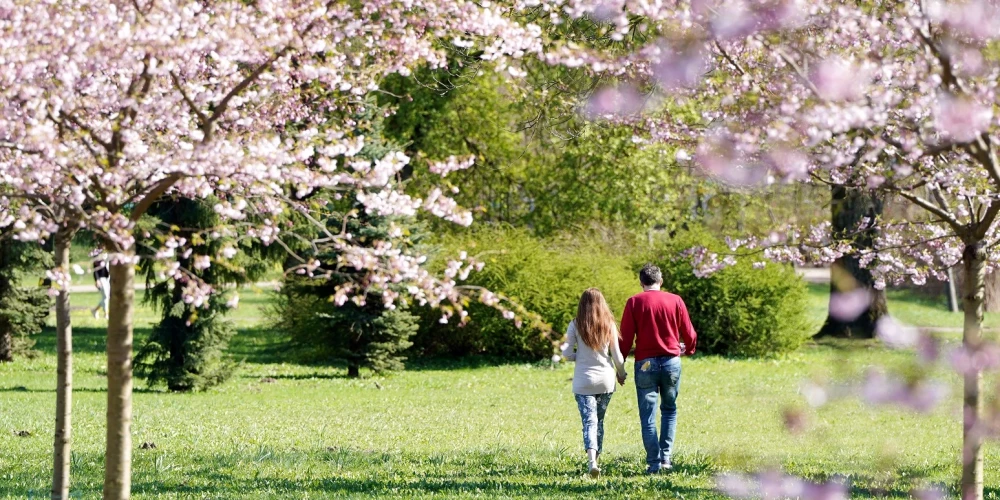 Иллюстративное фото.