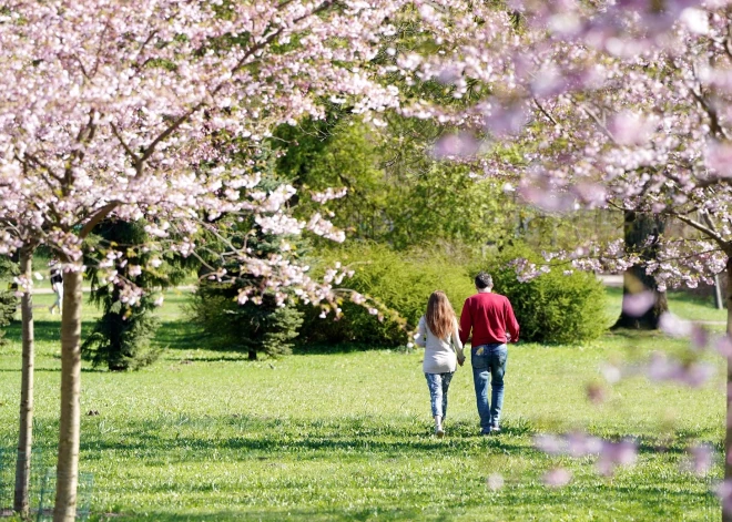 Сегодня ожидается самое теплое 15 апреля в истории наблюдений