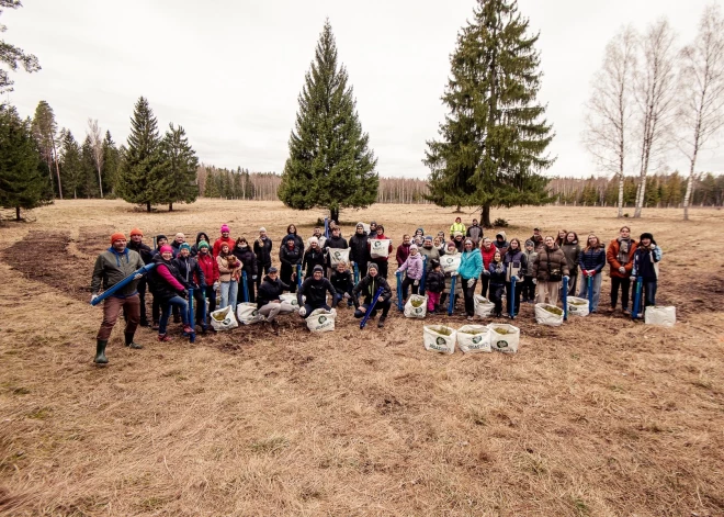 Kompensējot 2025. gada maratona oglekļa pēdu, Tīnūžos sastādīts jauns Rimi Rīgas maratona mežs