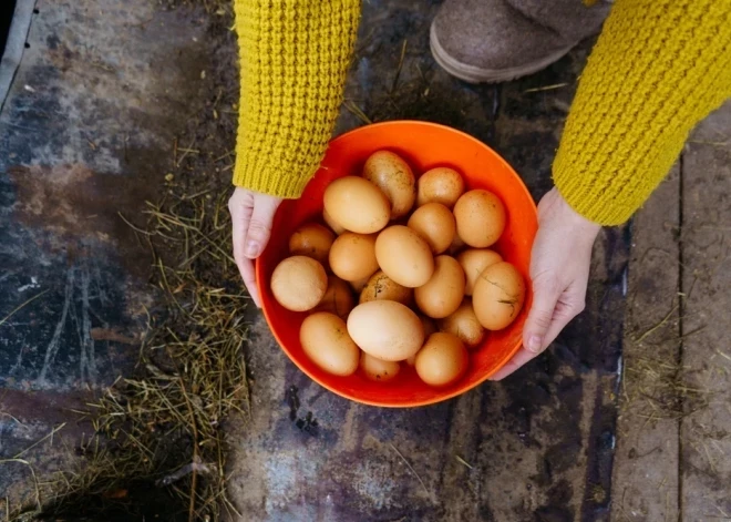 Kā Lieldienās sevi pasargāt no E.coli baktērijas? Skaidro SPKC