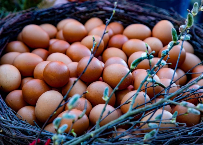 Eiropas olas uz mūsu galdiem! Lielākie mazumtirgotāji baltās vistu olas šogad iepirkuši no ārvalstīm