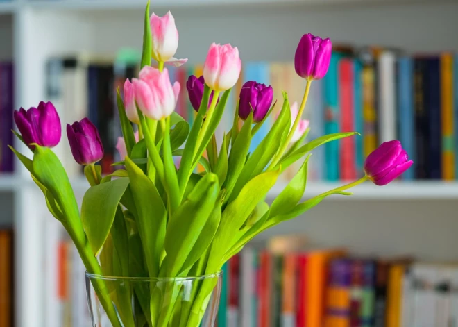 Šonedēļ populārākie vārdi – Juris un Anastasija