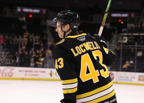 Dans Ločmelis sevi AHL līmenī pieteicis skaļi.