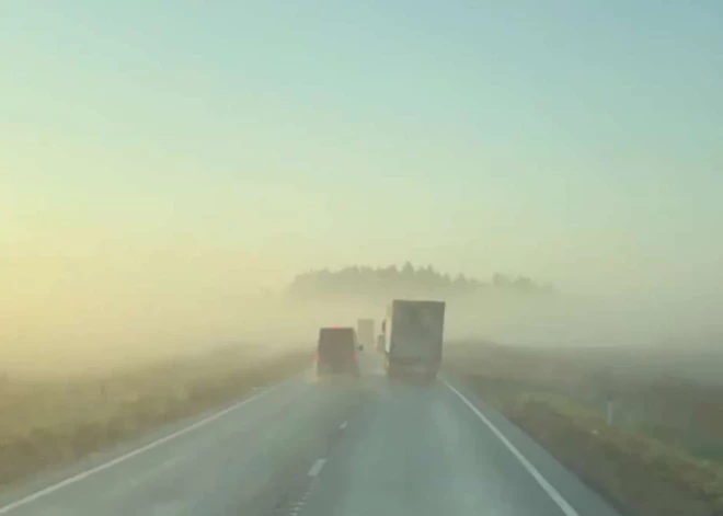 На шоссе Тинужи водитель, решив обогнать 8 машин в тумане, устроил смертельный тест удаче