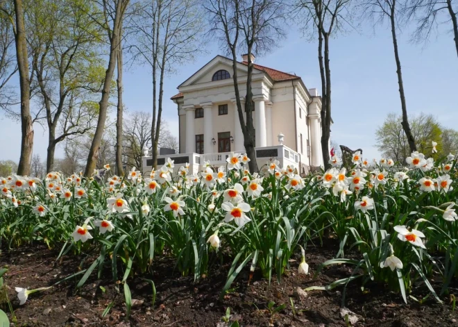 Tulpju ziedēšanas laikā ir vērts izbrīvēt vienu dienu, lai paviesotos tepat Lietuvas ziemeļu daļā esošajā Pakrojā. Daudzi latvieši jau zina – tur esošās Pakrojas muižas saimnieki prot krāšņi sagaidīt un aizvadīt ikvienu no četriem gadalaikiem.