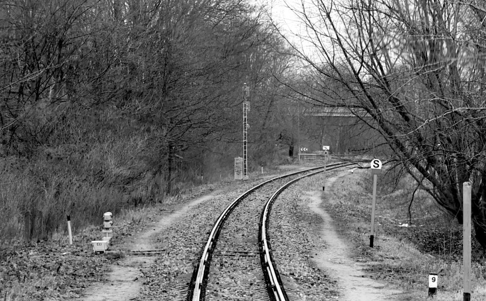 Viljandi apriņķī vilciens nāvējoši notriecis lāci