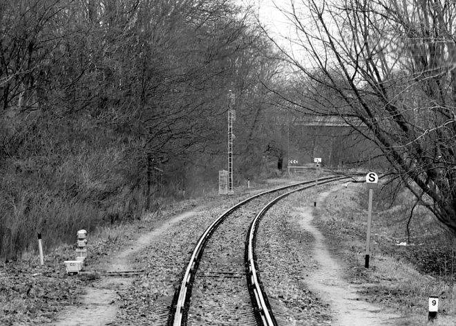 Viljandi apriņķī vilciens nāvējoši notriecis lāci