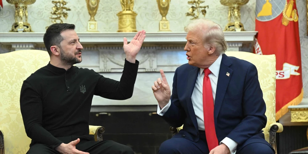 Владимир Зеленский и Дональд Трамп.