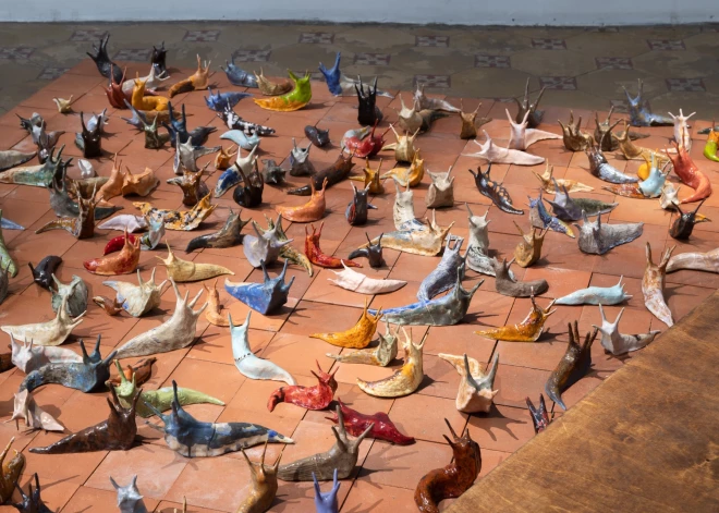 Šodien sāksies Rīgas Fotogrāfijas biennāles programma "Next"