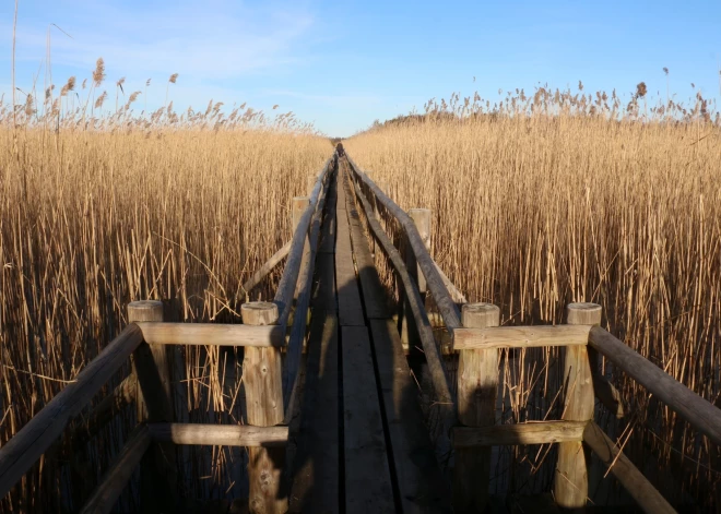 Remontdarbu laikā apmeklētājiem slēgta Kaņiera ezera Niedrāja laipa Ķemeru Nacionālajā parkā