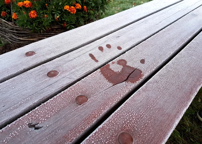 Nākamnedēļ iespējamas salnas un slapjš sniegs