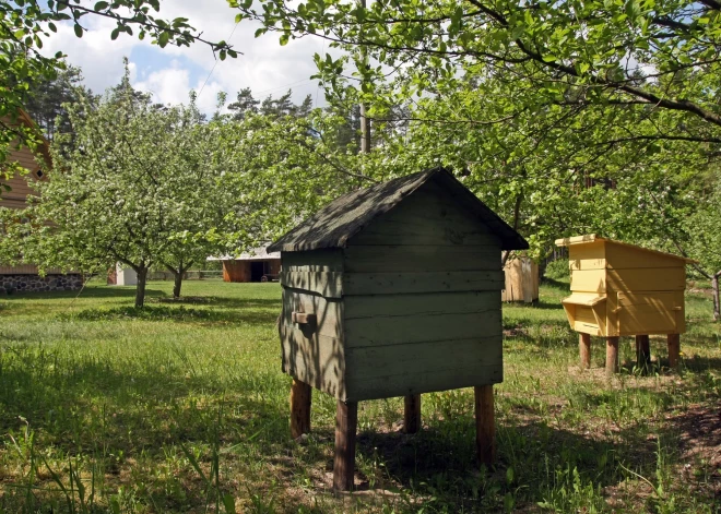 Valsts augu aizsardzības dienests atgādina par piesardzības pasākumiem biškopjiem