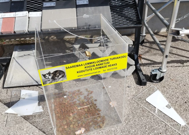 В Эстонии дети украли ящик для пожертвований животным и забрали деньги. Мелочь оставили