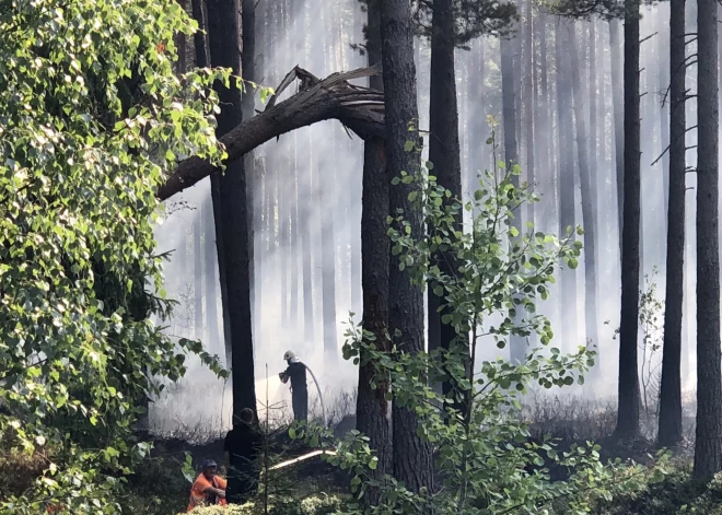 Valsts meža dienests: sākas laiks, kad mežā jābūt īpaši uzmanīgiem