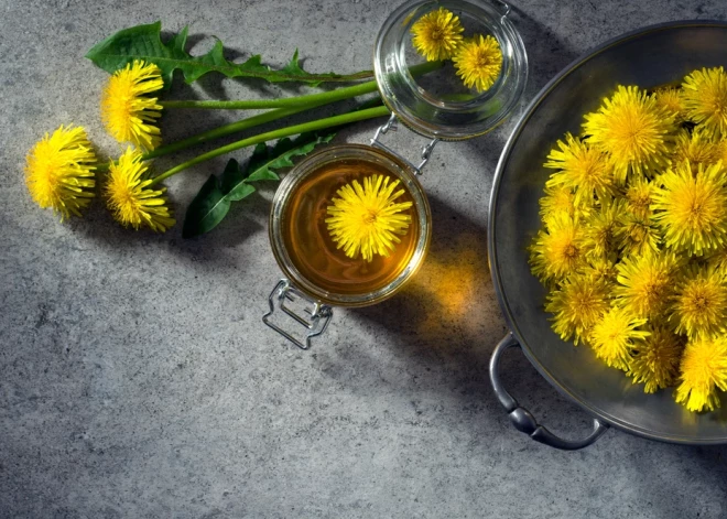 Nenokavē ievākt pieneņu medu - īstais brīdis ir tagad