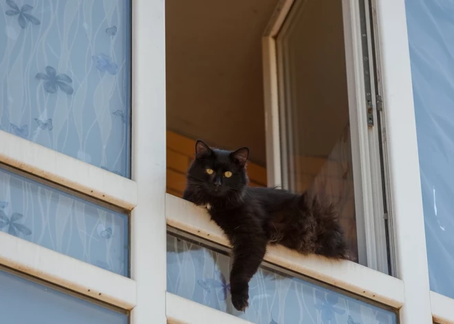 Saeima atbalsta likuma grozījumus, kas paredz, ka parāds sekos dzīvoklim