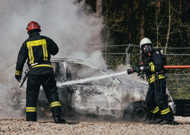 Учения Государственной полиции Iron Wall.