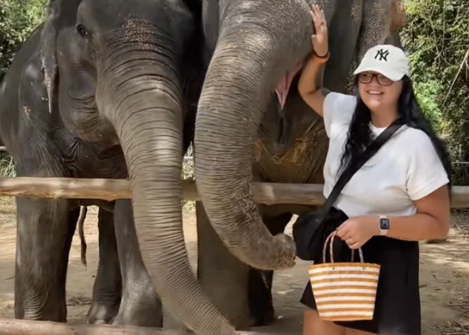 Tik eksotiskus braucienus pat neplāno! Janete kliedē visu pieticīgo ceļotgribētāju bažas