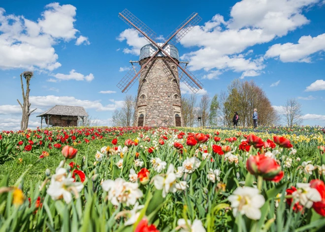 FOTO: Pakrojas muižas pavasara festivāls sasniedz ziedēšanas kulmināciju: ideāls galamērķis maija svētku brīvdienām