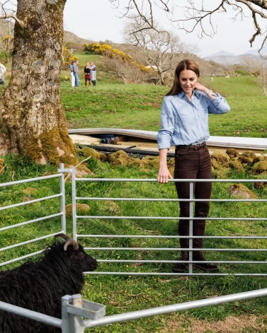 Принцесса выглядит очень стройной!