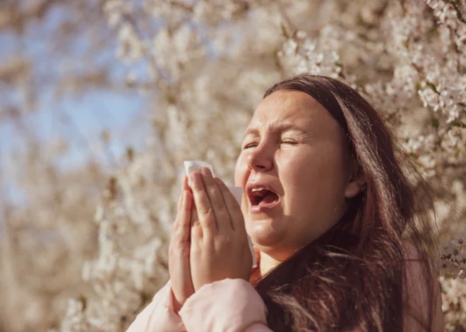 Kad pavasaris nāk ar šķaudīšanu, gudra izvēle ir bezskābes C vitamīns