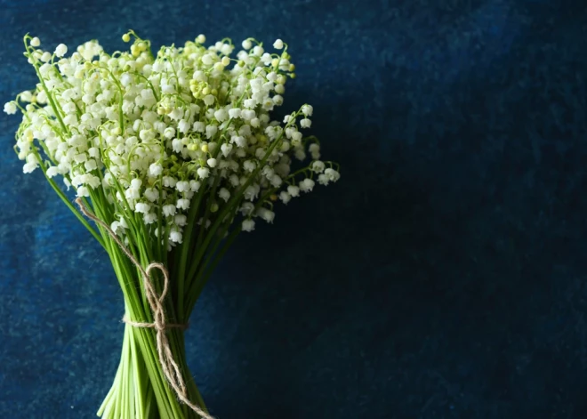 Šonedēļ populārākie vārdi – Maija un Ģirts